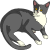 Gatto Cat 3 Clip Art