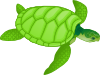 Green Sea Turtle Clip Art