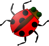 Bug Clip Art