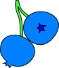 Blueberries Clip Art