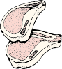 Pork Chops 2 Clip Art