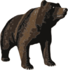 Brown Bear Clip Art