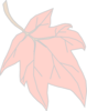 Fall Leaf Clip Art