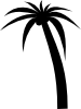 Palm Tree Clip Art