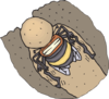 Bee Burrowing Clip Art