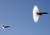 Lt. Col. William Chester Waldron, Commanding Officer Of The Black Knights Of Marine Fighter Attack Squadron Three One Four (vmfa-314) Performs A Super Sonic Fly-by. Image