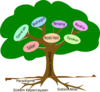 Tree Clip Art