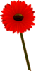 Gerbera Roja Bonita Clip Art