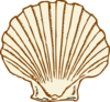 Purple Shell Clip Art