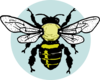 Little Bee Clip Art