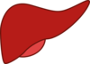 Liver Clip Art