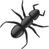 Ant Clip Art