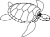 Turtle Outline Clip Art