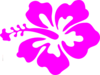 Hibiscus Flower Clip Art