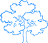 Blue Oak Clip Art