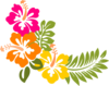 Hibiscus 7 Clip Art