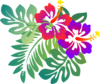 Hibiscus Top Right Clip Art