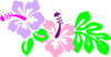 Hibiscus Clip Art