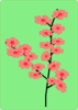 Sakura Flower Clip Art