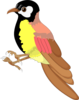 Bird Clip Art