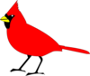 Cardinal Bird Clip Art