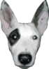 Bullterrier Head 5 Clip Art