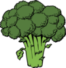 Broccoli Clip Art