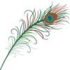 Peacock Feather Clip Art