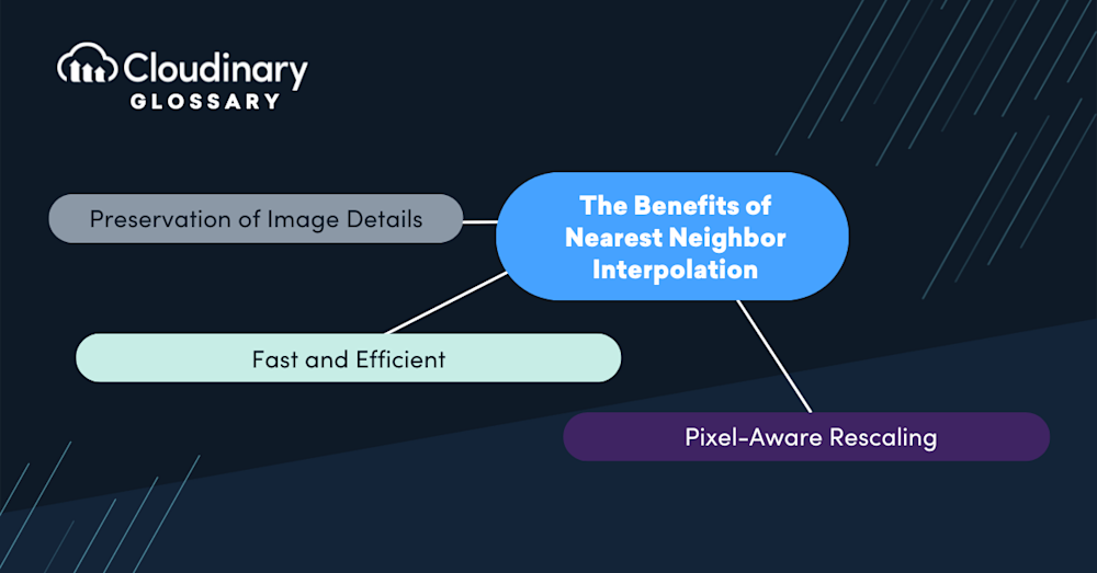 Nearest Neighbor Interpolation