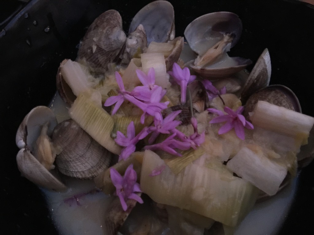 Manila Clams in a Leek and White Wine Broth