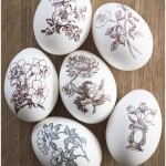 Rub-ons on Easter eggs - by Craft & Creativity