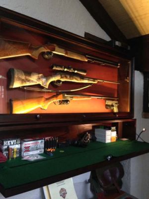 Beach 3 gun display with storage