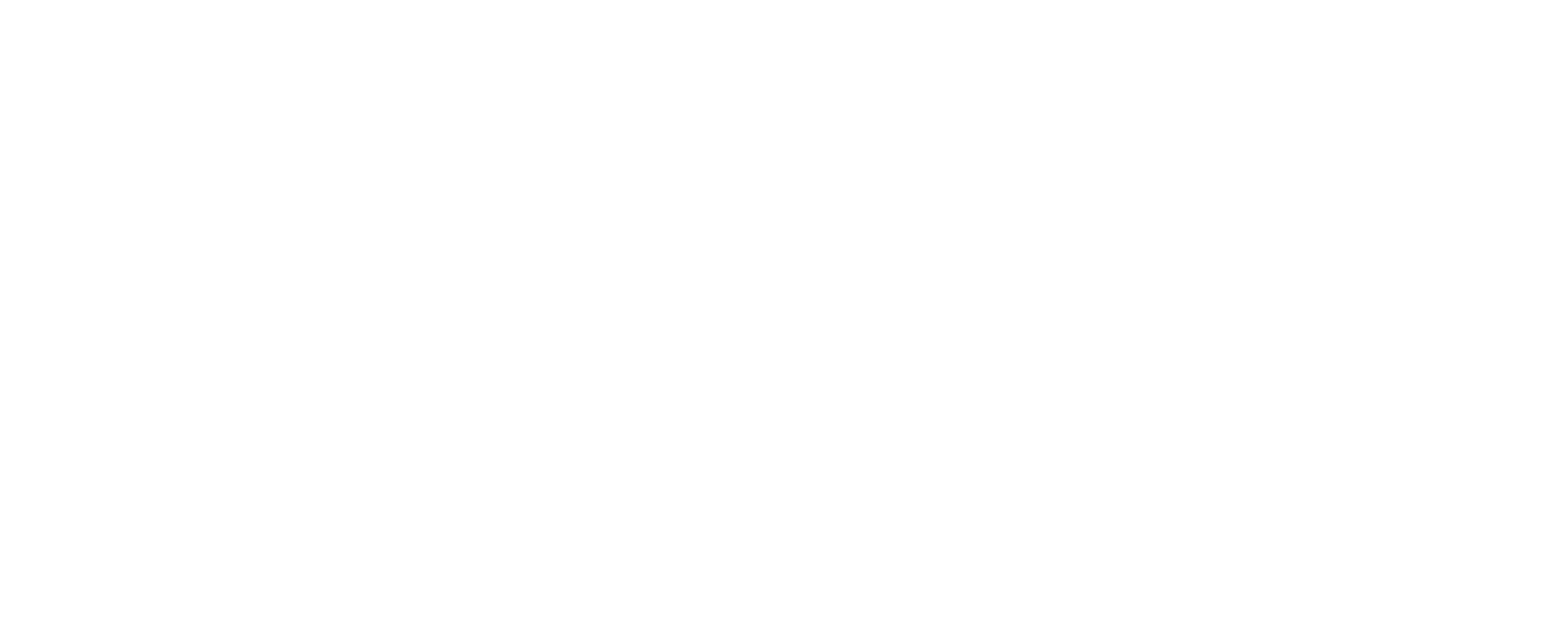 Dataseat Mobile DSP