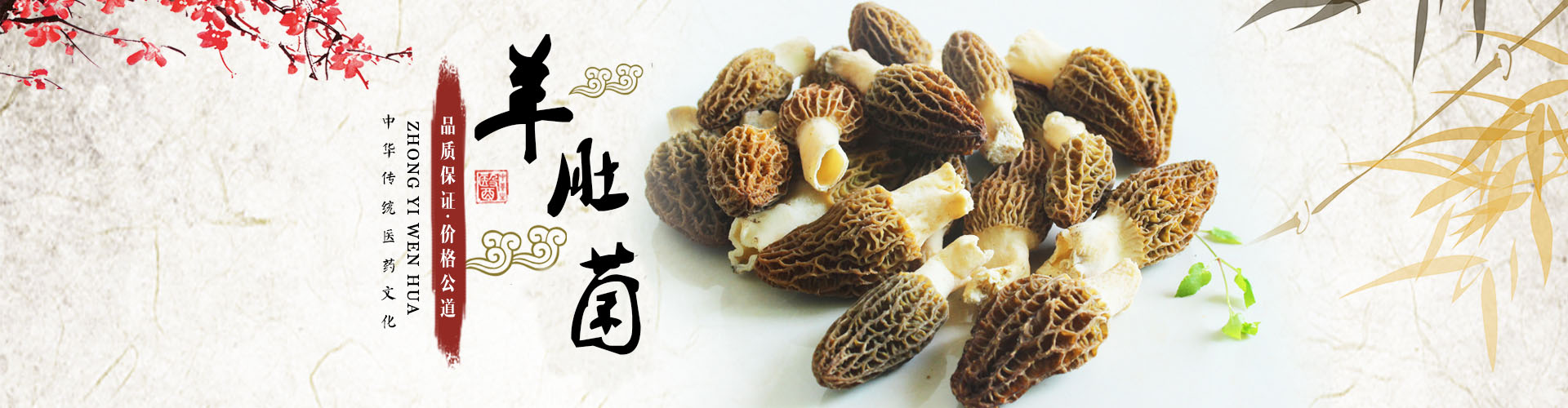 湖南金芙農(nóng)業(yè)科技有限公司_羊肚菌|蛹蟲(chóng)草鮮品|蛹蟲(chóng)草干品|蟲(chóng)草超微粉|蟲(chóng)草酒哪里好