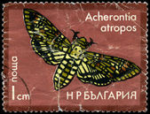 BULGARIA - CIRCA 1975 Hawkmoth — Stock Photo