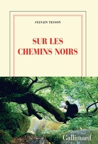 Sylvain Tesson - Sur les chemins noirs.