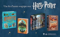 Harry Potter Tome 1 Harry Potter à l'école des sorciers -  -  Edition collector