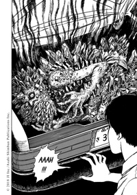 Les chefs-d'oeuvre de Junji Ito Tome 2