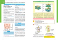 Tout Savoir pour comprendre et progresser 2de