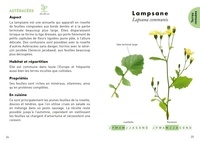 Le petit guide des plantes sauvages comestibles. 70 espèces à découvrir