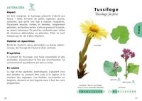 Le petit guide des plantes sauvages comestibles. 70 espèces à découvrir