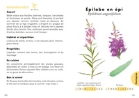 Le petit guide des plantes sauvages comestibles. 70 espèces à découvrir