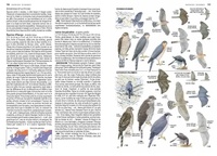 Le guide ornitho. Le guide le plus complet des oiseaux d'Europe, d'Afrique du Nord et du Moyen-Orient 3e édition