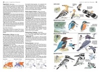 Le guide ornitho. Le guide le plus complet des oiseaux d'Europe, d'Afrique du Nord et du Moyen-Orient 3e édition