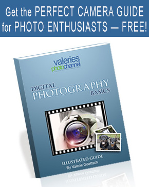 sign up for our free photography book