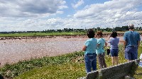 Tidal Bore