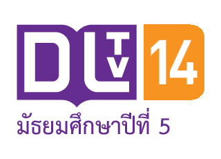 DLTV 14