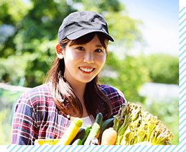 山・高原系のアルバイトのイメージ画像