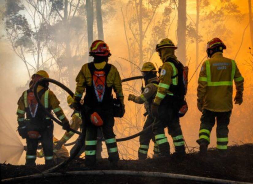 Un grupo de bomberos trabaja extinguiendo al fuego en la capital.