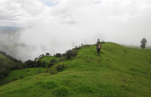 El bosque de Tangán, ubicado en el cantón Sigchos, en Cotopaxi.